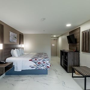 Red Roof Inn Pharr - Mcallen